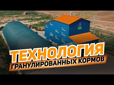 Видео: Технология создания гранулированных кормов из люцерны от компании AMANDUS KAHL в Казахстане