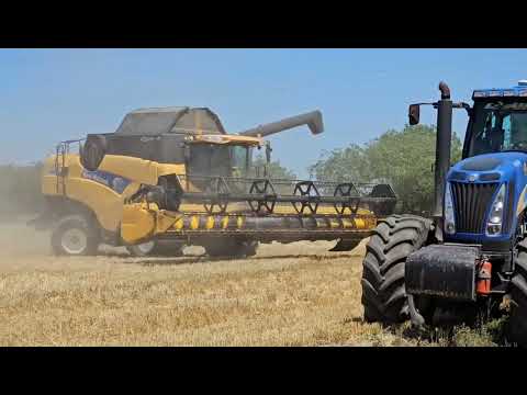 Видео: Уборка оз.ячменя, сорт "Казанова". Итоги. No -till 21.06.2024