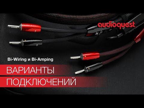 Видео: Bi-Wiring и Bi-Amping | Типы кабельного подключения - разбираем основные отличия