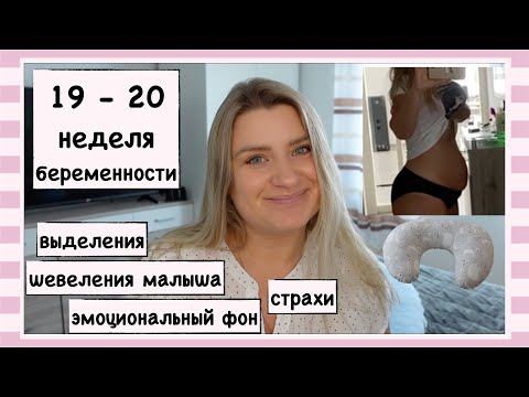 Видео: 19-20 НЕДЕЛЯ БЕРЕМЕННОСТИ // ПИНОЧКИ МАЛЫША // ПОДУШКИ ДЛЯ БЕРЕМЕННЫХ // ВЫДЕЛЕНИЯ // РАСТЯЖКИ