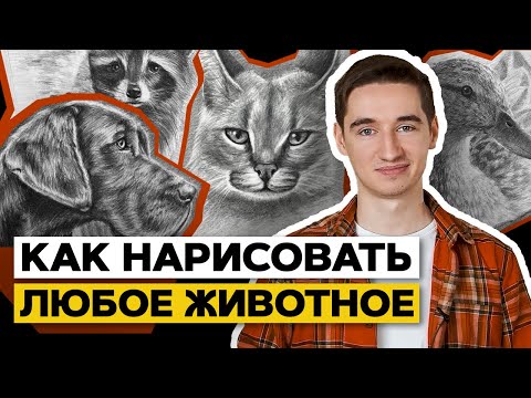 Видео: 🦁РИСУЮ КОГО ХОЧУ! | Как научиться рисовать любое животное?