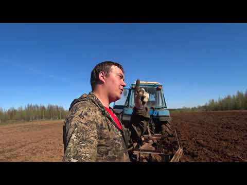 Видео: мтз 80 с мостом газ 66 посадка картофеля 2024