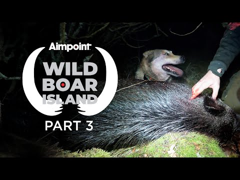 Видео: ОСТРОВ ДИКОГО КАБАНА - ЧАСТЬ 3 - ПОИСК ПОДРАННЫХ ДИЧЕЙ