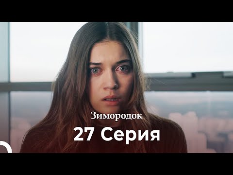 Видео: Зимородок 27 Cерия (Русский дубляж) (4K)