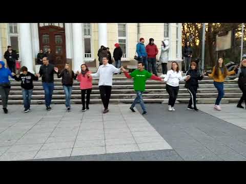 Видео: Хоро Камбер