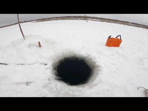 Видео: Рыбалка у чёрной дыры. Ловля налима. Серия двенадцатая.