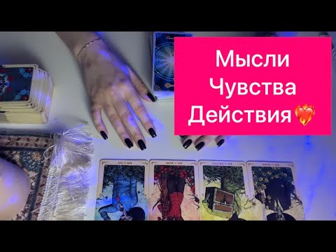 Видео: 4 короля таро: мысли чувства действия❤️‍🔥