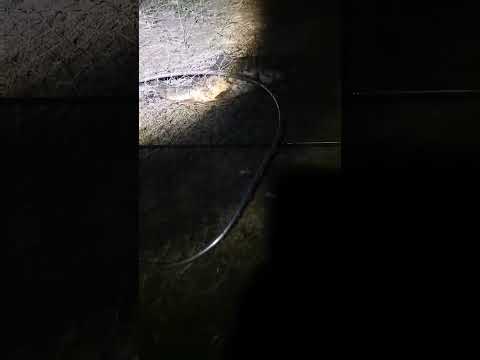 Видео: #отдых #рыбалка #рыба