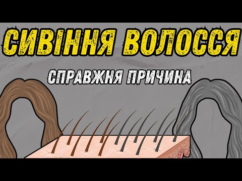 Видео: Сивина від стресу чи генів? Чому ми сивіємо?