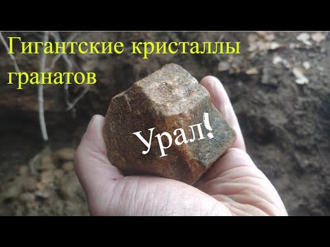 Видео: Копаем гранаты в запретке! Гигантские кристаллы, гигантские брёвна.