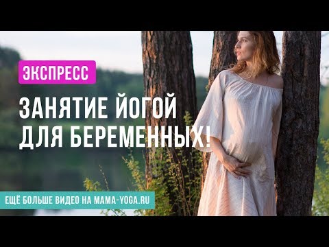 Видео: Экспресс-занятие йогой для беременных!