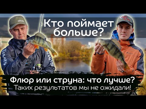 Видео: Флюр или струна: что лучше на окуня? Неожиданный результат эксперимента / Микроджиг с Optimus 712ULS