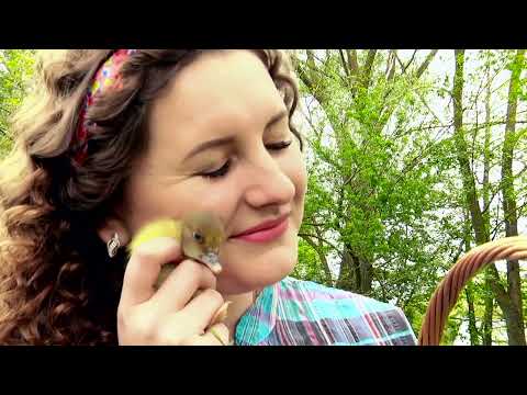 Видео: РІДНЕ СЕЛО. АЛІНА ШЕПЕЛЬ  @ПісніВалентиниШЕВЧЕНКО  (Official Video) 2023