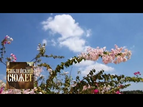 Видео: Рождество. Рэй Брэдбери / Библейский сюжет / Телеканал Культура