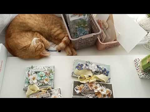 Видео: Скрапвлог. Октябрь 1 часть.