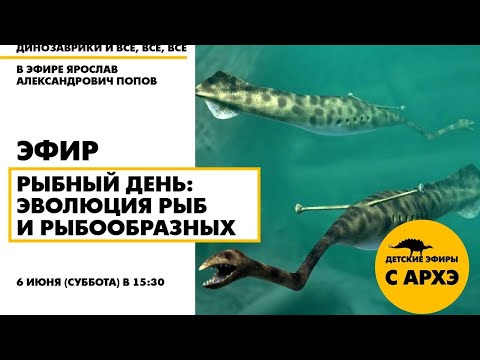 Видео: Эфир "Рыбный день: эволюция рыб и рыбообразных" в рамках рубрики "Динозаврики и все, все, все"