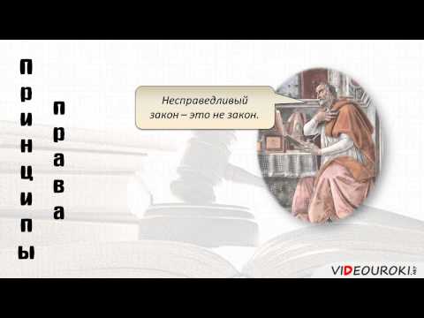 Видео: Право в жизни общества
