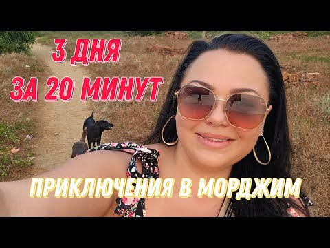 Видео: #12. Обзор тарелочек. Учавствую в соревнованиях на пляже. #правильноепитание #еда #морджим #гоа