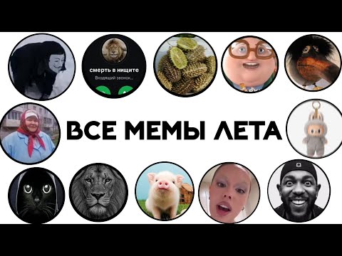 Видео: Все МЕМЫ ЛЕТА 2025