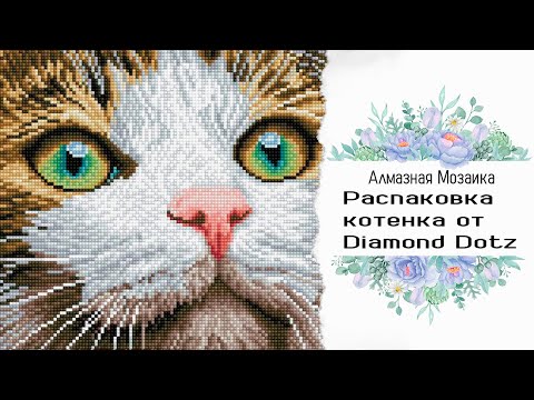 Видео: Распаковка алмазной мозаики от производителя Diamond Dotz "Grean eyed Beauty"