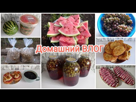 Видео: Домашний ВЛОГ. Грибной октябрь. Осенние заготовки 