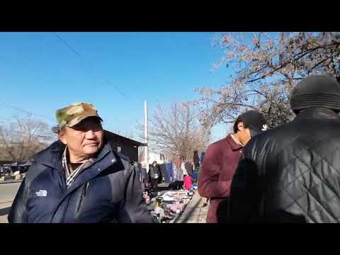 Видео: Бишкек Московская от Молодой Гвардии  Интергельпо 17 03 24