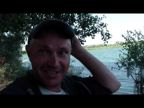 Видео: РЕКА СЫРДАРЬЯ ОХОТА НА СОМА. ДЕНЬ ТРЕТИЙ