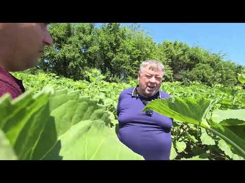 Видео: Отзыв агрария. Экономия, точность, результат — почему все ещё не перешли на это?