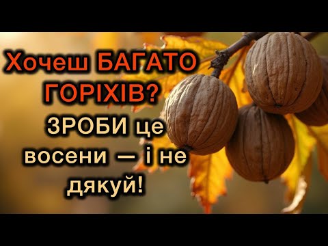 Видео: Хочеш БАГАТО ГОРІХІВ? ЗРОБИ це восени — і не дякуй!