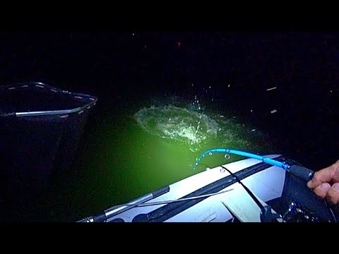 Видео: ДИКИЕ ПАРОВОЗЫ РВУТ ЗАКИДУШКИ!!! НЕЗАБЫВАЕМАЯ РЫБАЛКА НА САЗАНА И СОМА!