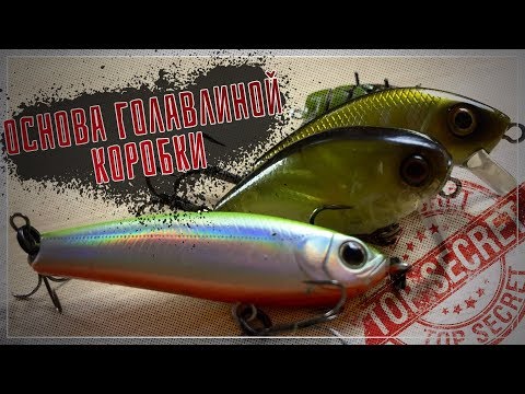 Видео: ЭТИ ПРИМАНКИ ДОЛЖНЫ БЫТЬ У КАЖДОГО \\ ГОЛАВЛЬ