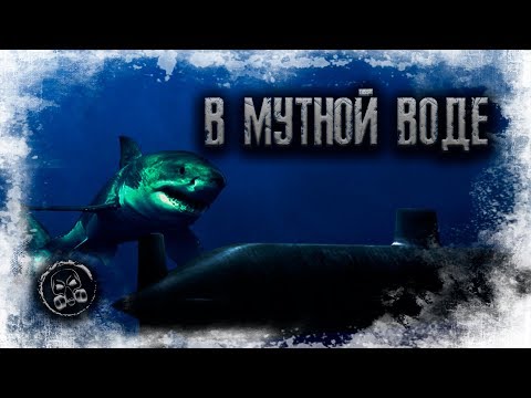Видео: В МУТНОЙ ВОДЕ. Страшилки. Страшные истории.