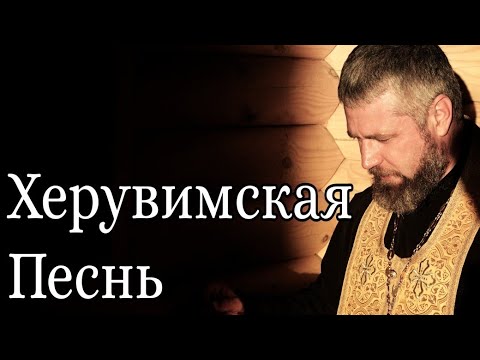 Видео: Херувимская Песнь на Литургии