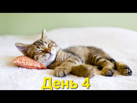 Видео: Гимнастика для сна день 4