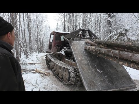 Видео: Трелёвка леса трактором ТТ-4 в логах.