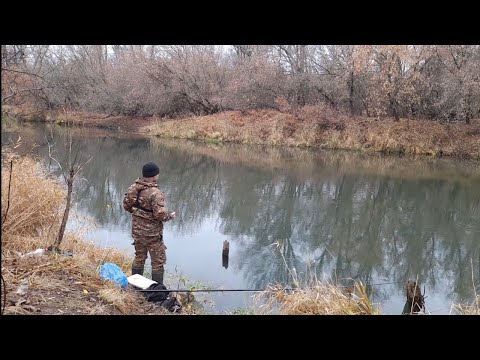 Видео: Рыбалка на поплавок в Октябре. Неожиданный улов!