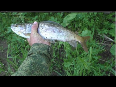 Видео: Нива и Уаз,Экспедиция в "Магнитную аномалию"(2 серия,отдых,рыбалка)