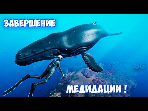 Видео: МЕДИТАЦИЯ В ГЛУБИНАХ ОКЕАНА ЗАВЕРШЕНА - Beyond Blue #6