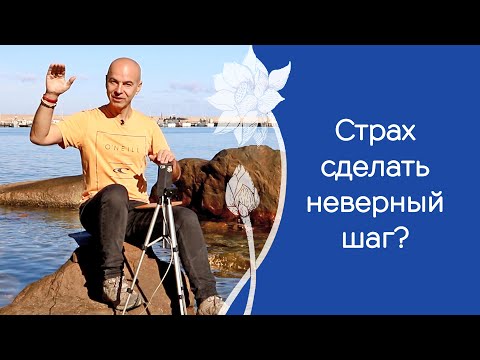 Видео: Лучший способ экономить энергию при принятии решений