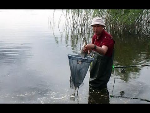 Видео: Рыбалка на Оке под Серпуховом и Касимовом. Открытие  сезона 2021.