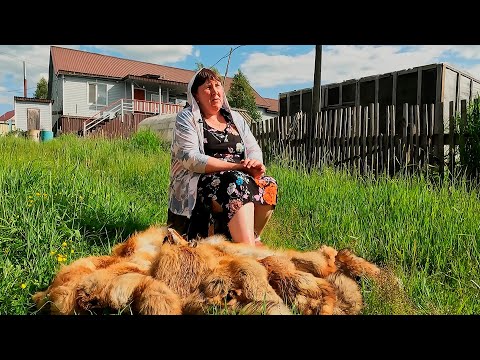 Видео: Работа, которая приносила радость | Изьватас олэм