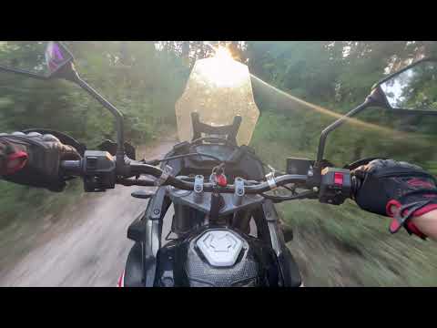 Видео: Loncin 250 у лісі — справжній позашляховий кайф 🏍️💨