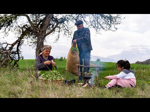 Видео: Сбор дикого лесного лука и изготовление приправы, которая хранится годами