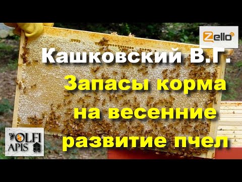 Видео: #Кашковский В. Г. Запасы корма на #весенние_развитие_пчел .