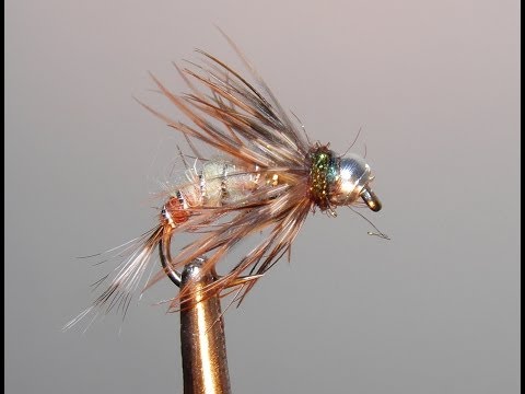 Видео: НИМФА ,,КАРАСЕВАЯ,, 4  SVA