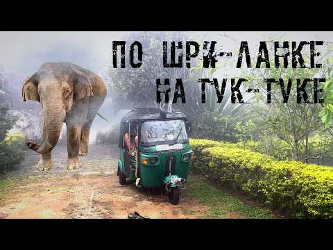 Видео: По Шри-Ланке на тук-туке.
