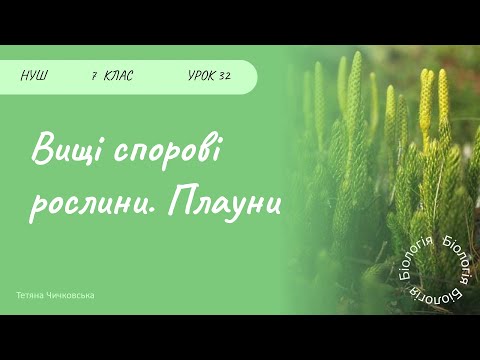 Видео: Вищі спорові рослини. Плауни