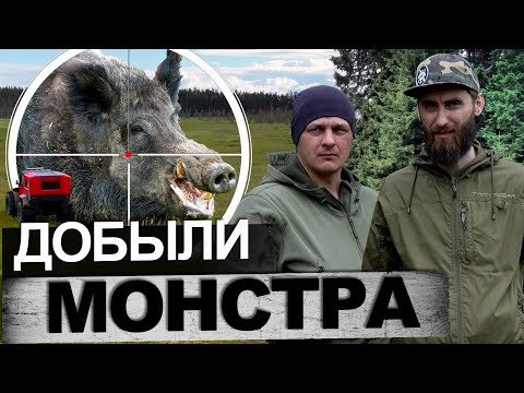 Видео: Охота с другом на кабана/Tinger