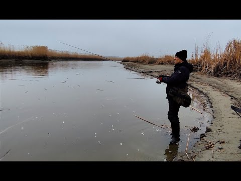 Видео: ЗНОВУ ХИТРИЙ МІНІ РВАЧ ОБЛОВИВ УСІХ. Зимова риболовля на спінінг