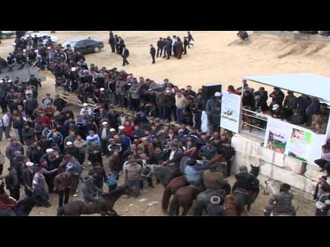 Видео: Мусабеков Базарбай. Көкпар-2013